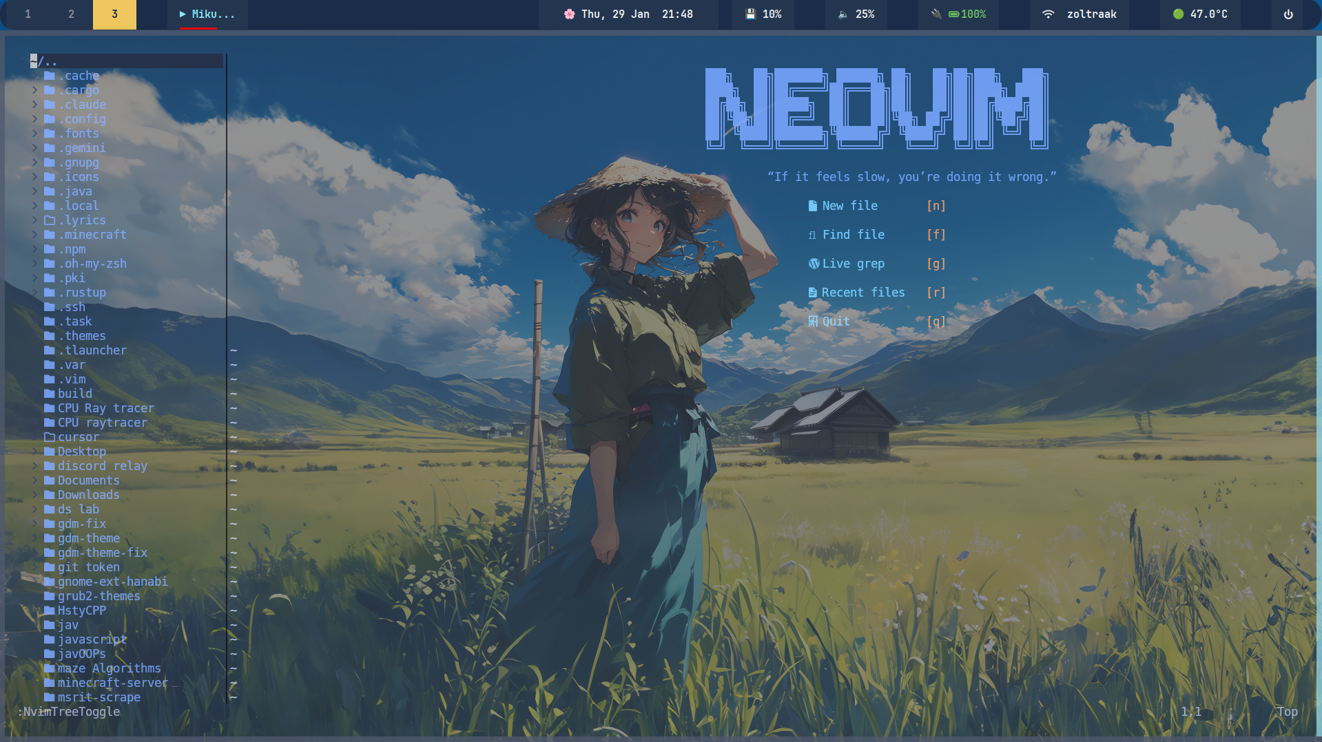 nvim
